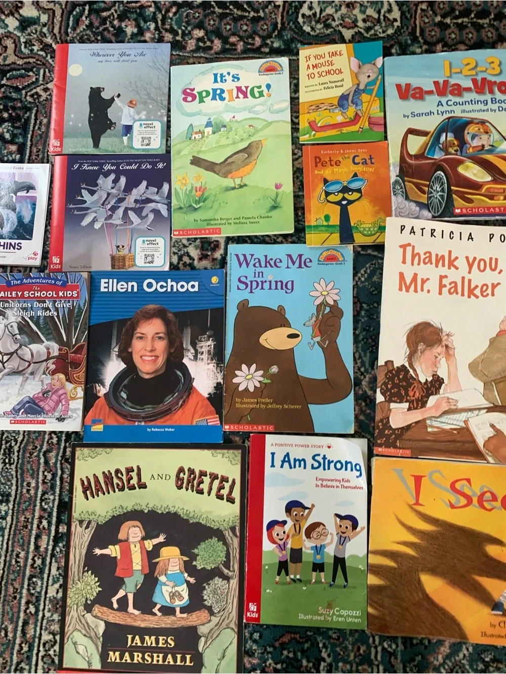 Scholastic and Assorted Children's Picture Softcover Books Bundle lot of 15